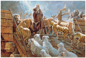 Noahs Ark Mormon